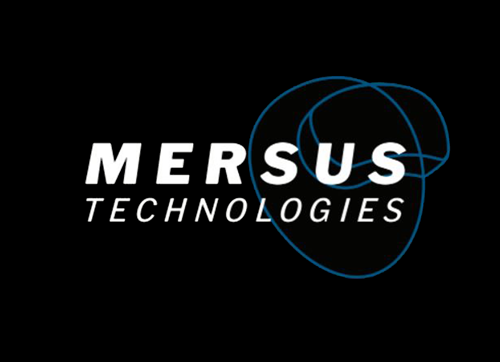 Work Experiences in Mersus Technologies